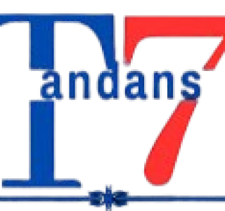 Tandans7 Logo